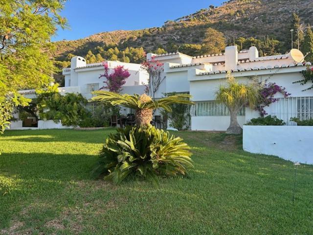 Loupiro Mijas